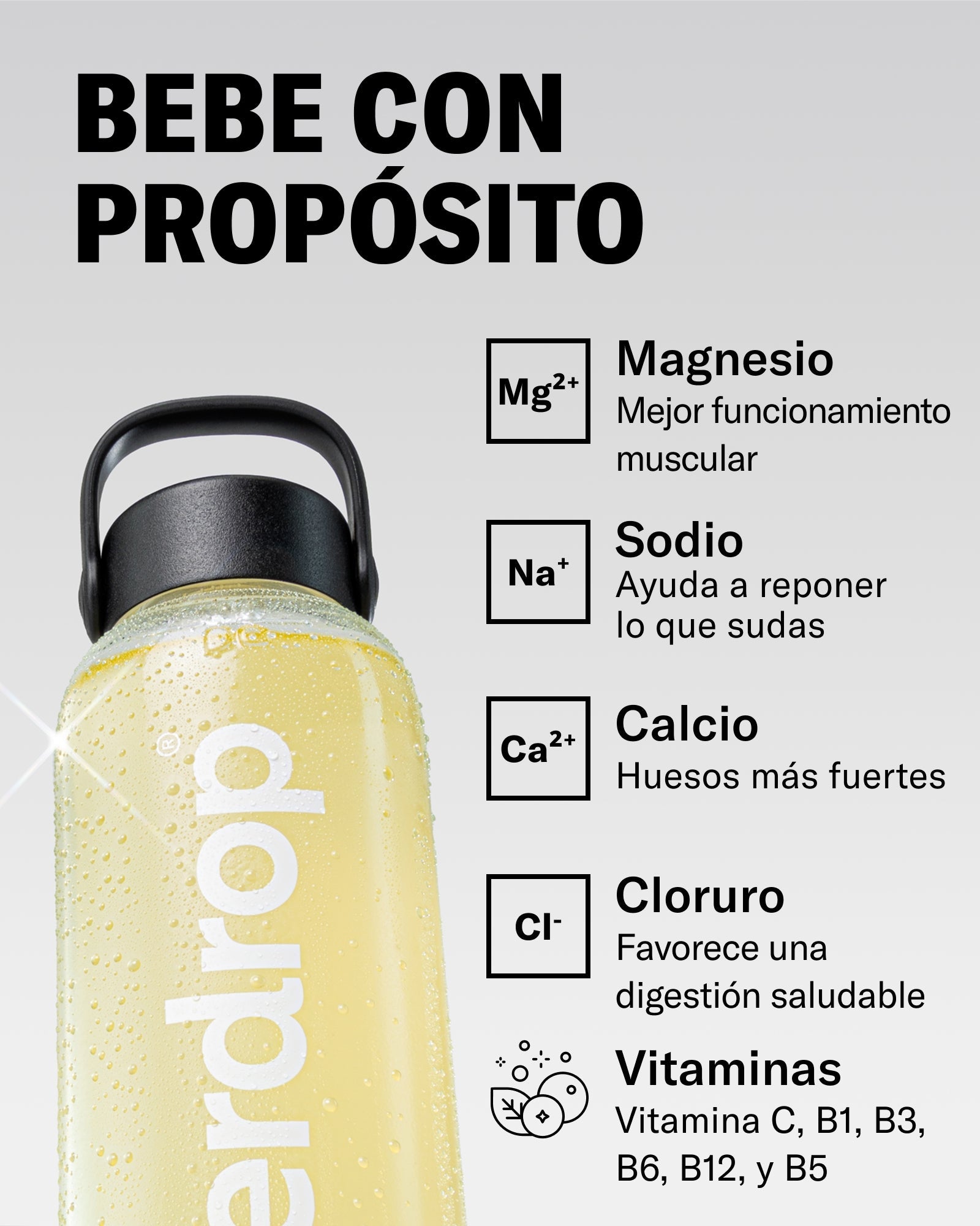 Set Funcional 3 + 1 · Pre & Post Deporte